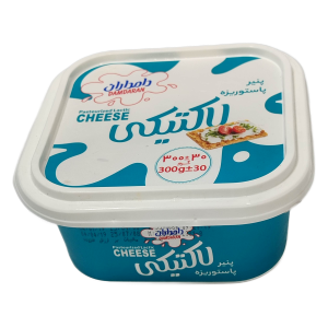 پنیر پاستوریزه لاکتیکی دامداران300گرم